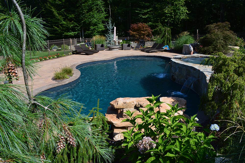 Free form pool with spa